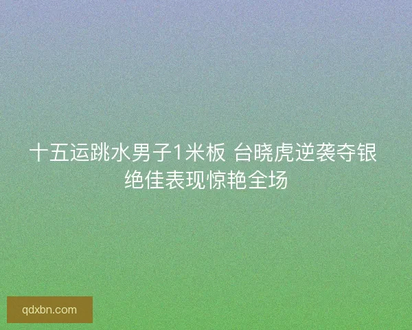 十五运跳水男子1米板 台晓虎逆袭夺银 绝佳表现惊艳全场
