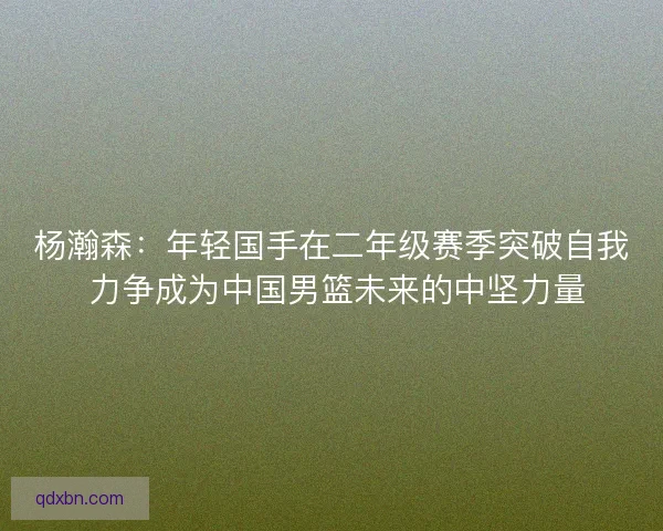 杨瀚森：年轻国手在二年级赛季突破自我 力争成为中国男篮未来的中坚力量